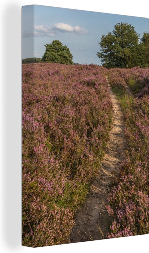 Un sentier dans le parc national de Dwingelderveld 90x140 cm - Tirage photo sur toile (Décoration murale salon / chambre)