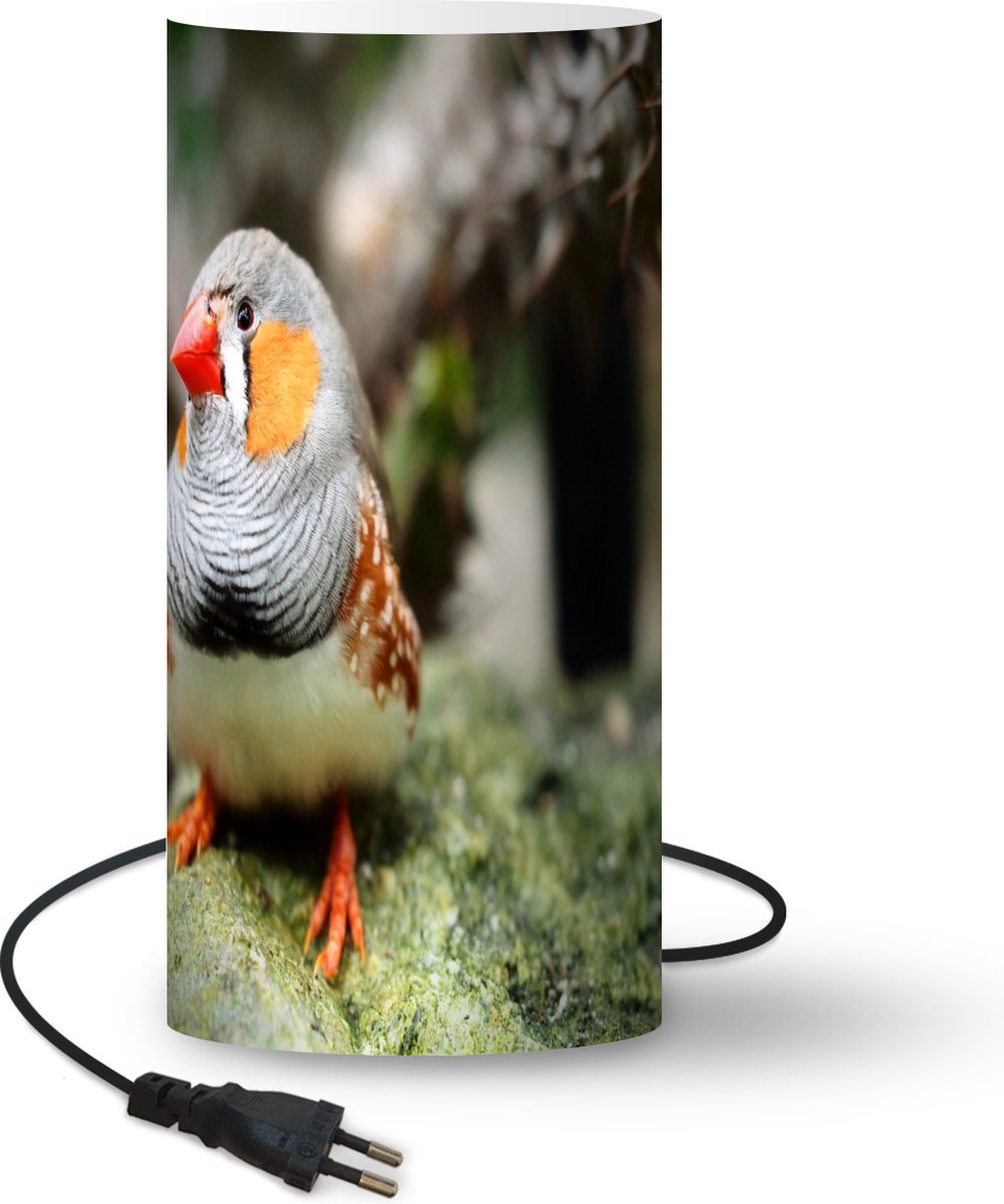 Lamp - Nachtlampje - Tafellamp slaapkamer - Een zebravink zit op een tak - 54 cm hoog - Ø24.8 cm - Inclusief LED lamp