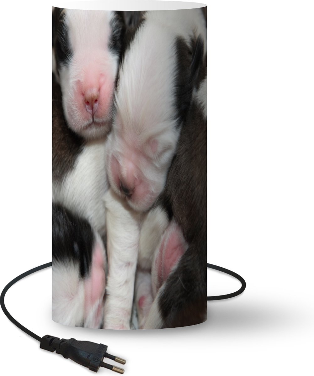 Lamp - Nachtlampje - Tafellamp slaapkamer - Net geboren Sint Bernard puppies - 54 cm hoog - Ø24.8 cm - Inclusief LED lamp