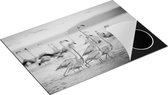 Chefcare Inductie Beschermer Kudde Flamingo's in het Water - Zwart Wit - 75x50 cm - Afdekplaat Inductie - Kookplaat Beschermer - Inductie Mat