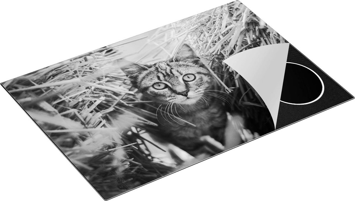 Chefcare Inductie Beschermer Kat tussen de Stro Balen - Zwart Wit - 75x55 cm - Afdekplaat Inductie - Kookplaat Beschermer - Inductie Mat