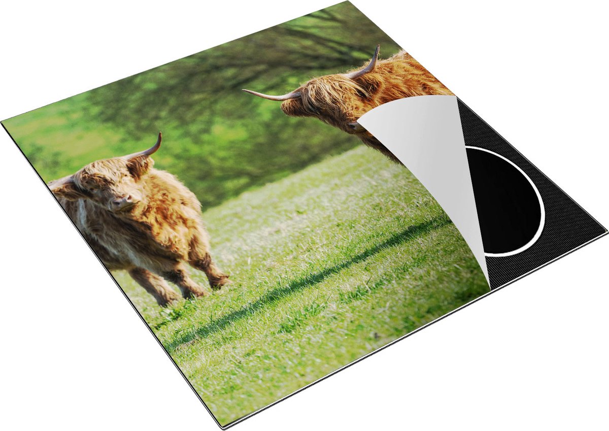 Chefcare Inductie Beschermer Twee Schotse Hooglanders op het Gras - 78x78 cm - Afdekplaat Inductie - Kookplaat Beschermer - Inductie Mat