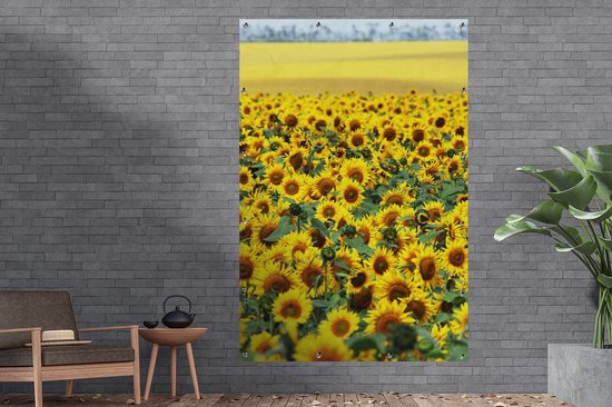 Tuinposter - Bloemen - Zonnebloemen - Tuindecoratie - Bloemenveld - 120x180 cm - Tuinschilderij - Tuindoek