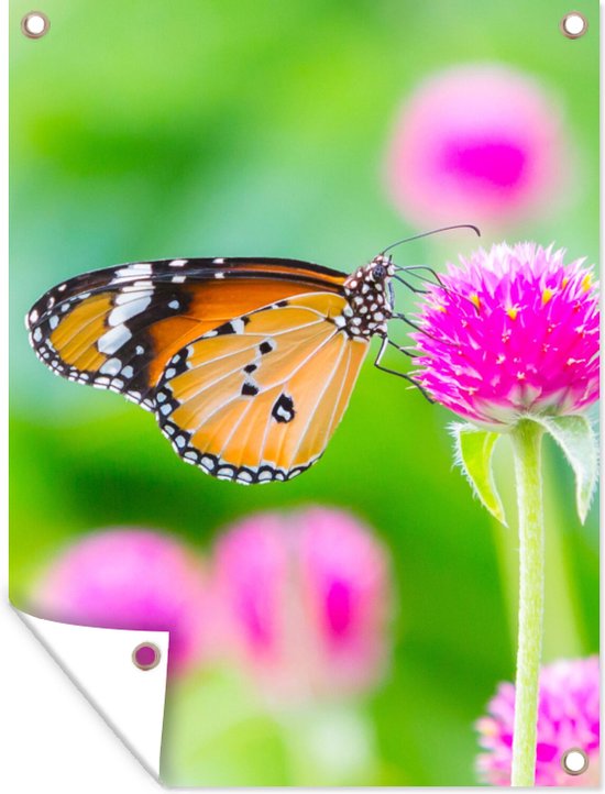 Tuinposter - Vlinder - Insecten - Bloemen - Fauna - Tuindecoratie - 90x120 cm - Tuindoek