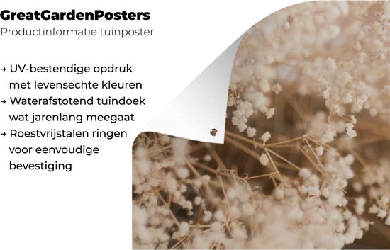 Affiche de jardin - Pampa - Herbe de la pampa plante de jardin - Plantes - Nature - Rose - 200x100 cm - Affiche de jardin fleurs - Jardin - Décoration murale - Décoration murale - Toile de jardin