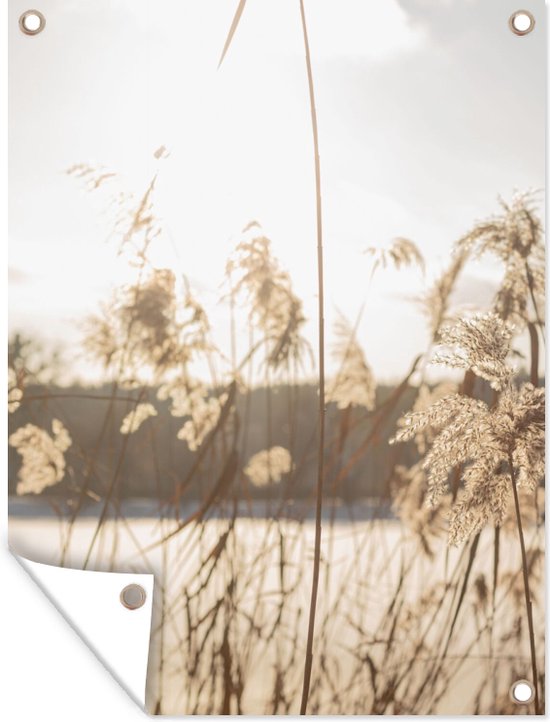 Tuinposter - Pampas - Pampas pluimen - Planten - Gras - Natuur - 120x160 cm - Wanddecoratie buiten - Tuin - Muurdecoratie - Tuindecoratie - Tuindoek - Buitenposter