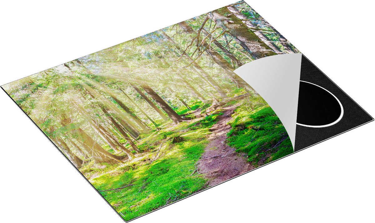 Chefcare Inductie Beschermer Pad in Bos met Zon tussen de Bomen - 65x52 cm - Afdekplaat Inductie - Kookplaat Beschermer - Inductie Mat
