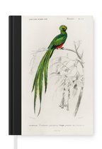 Notitieboek - Schrijfboek - Vogel - Vintage - Tak - Notitieboekje klein - A5 formaat - Schrijfblok