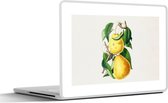 Laptop sticker - 12.3 inch - Peren - Fruit - Gezond - 30x22cm - Laptopstickers - Laptop skin - Cover