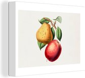 Tableau sur Toile Pomme - Poire - Fruit - 120x90 cm - Décoration murale