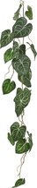 Anthurium Clarinervium Guirlande kunst hangplant 110cm