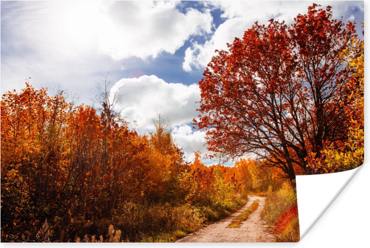 Poster Boom - Pad - Herfst - 120x80 cm