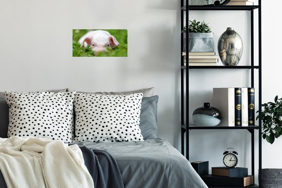 Affiche Cochon - Animaux - Porcelet - 40x20 cm