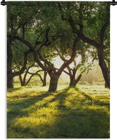 Wandkleed - Wanddoek - Bomen - Natuur - Zon - 90x120 cm - Wandtapijt