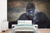 Behang - Fotobehang Portret afbeelding van een zwarte Gorilla - Breedte 450 cm x hoogte 300 cm