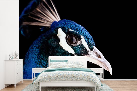 Papier peint Papier peint photo en vinyle - Gros plan paon largeur 390 cm x hauteur 260 cm - Tirage photo sur papier peint (disponible en 7 tailles)