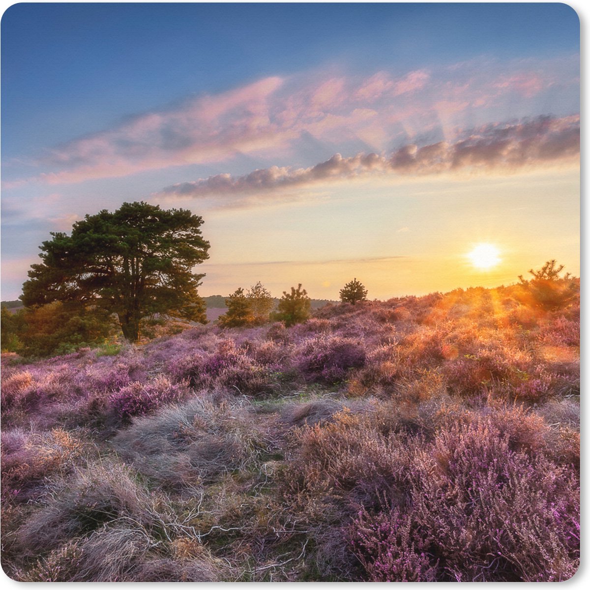 Muismat XXL 50x50 cm - Bureau onderlegger - Bureau mat Nederland - Zon - Natuur - Bureaumat - Gaming mousepad xl - Bureaulegger groot - Computer deskmat
