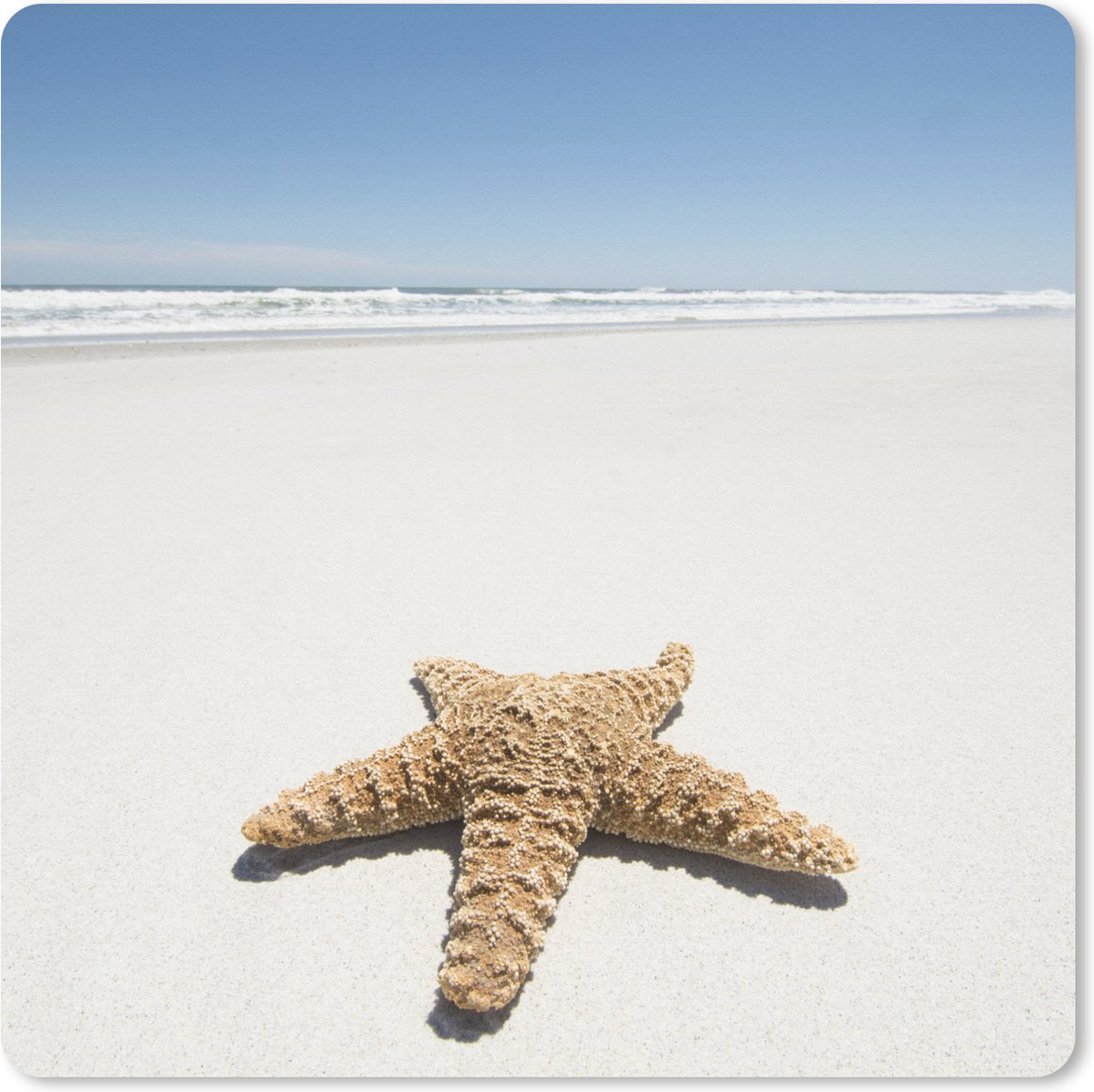 Muismat XXL 80x80 cm - Bureau onderlegger - Bureau mat Zeester - Strand - lucht - Bureaumat - Gaming mousepad xl - Bureaulegger groot - Computer deskmat