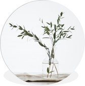 WallCircle - Wandcirkel ⌀ 150 - Eucalyptustakken in een glazen vaas - Ronde schilderijen woonkamer - Wandbord rond - Muurdecoratie cirkel - Kamer decoratie binnen - Wanddecoratie muurcirkel - Woonaccessoires