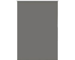 vidaXL - Rolgordijn - verduisterend - 90x150cm - stofbreedte - 85,7 - cm - polyester