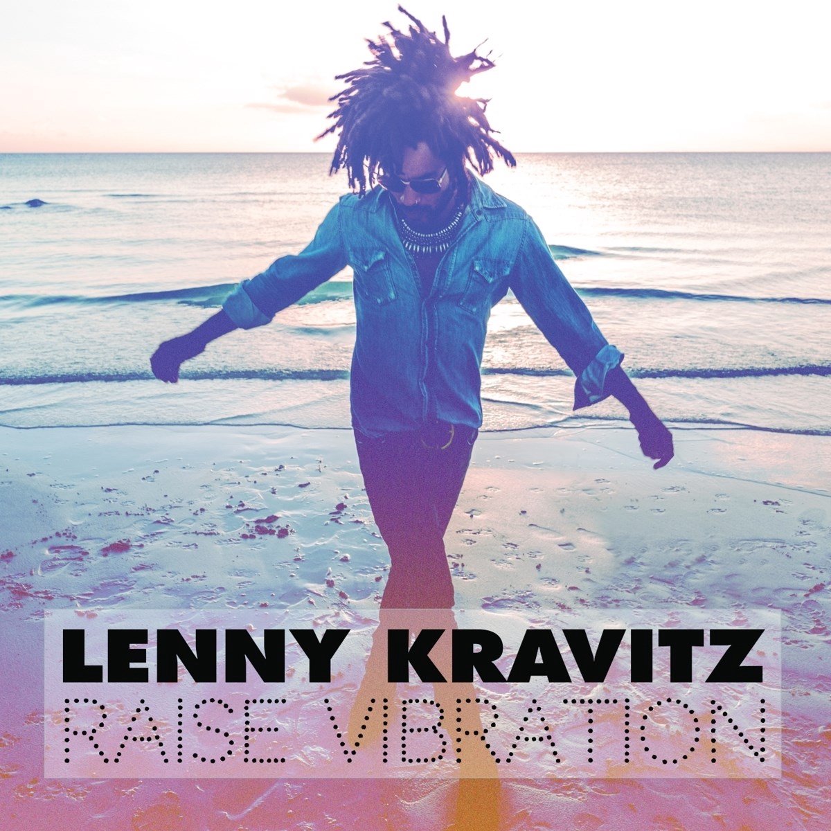 Lenny Kravitz - Raise Vibration (CD)