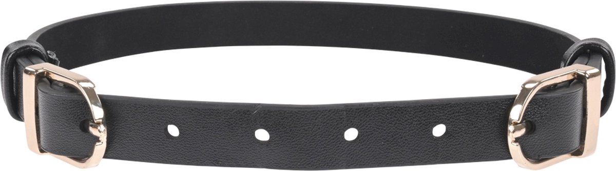 Goedkoopste Sportsheets - Sex & Mischief Double Buckle Day Halsband - Zwart