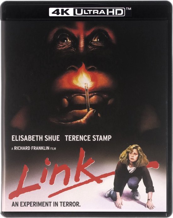 Link [Blu-Ray 4K]
