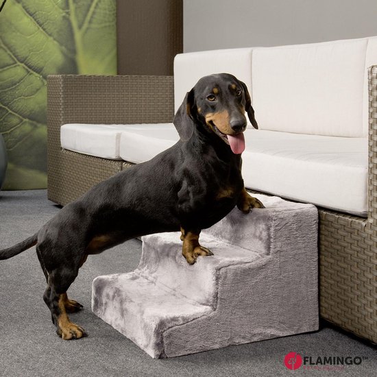 Hondentrap Stevig Model 2025 Met Opbergruimte - Trap Hond - tot 60 KG – Keuze Koop