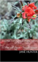 Elizabeth's Christmas Wish: A Pride and Prejudice Sensual Intimate