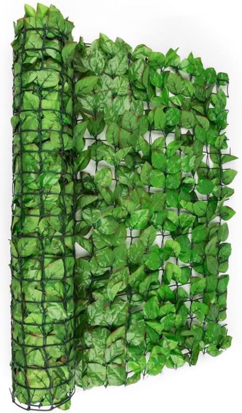 Fency Bright Leaf Afrastering tegen Inkijk en Wind 300 x 100 cm Beuken lichtgroen