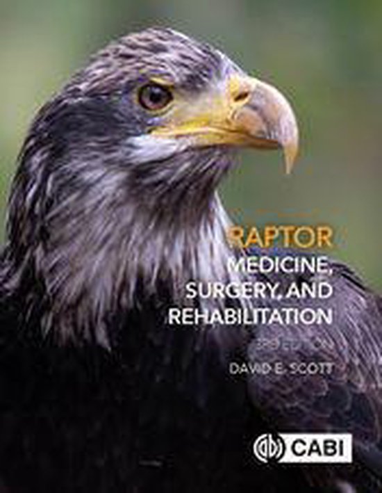 Raptor Medicine, Surgery, and Rehabilitation - cover