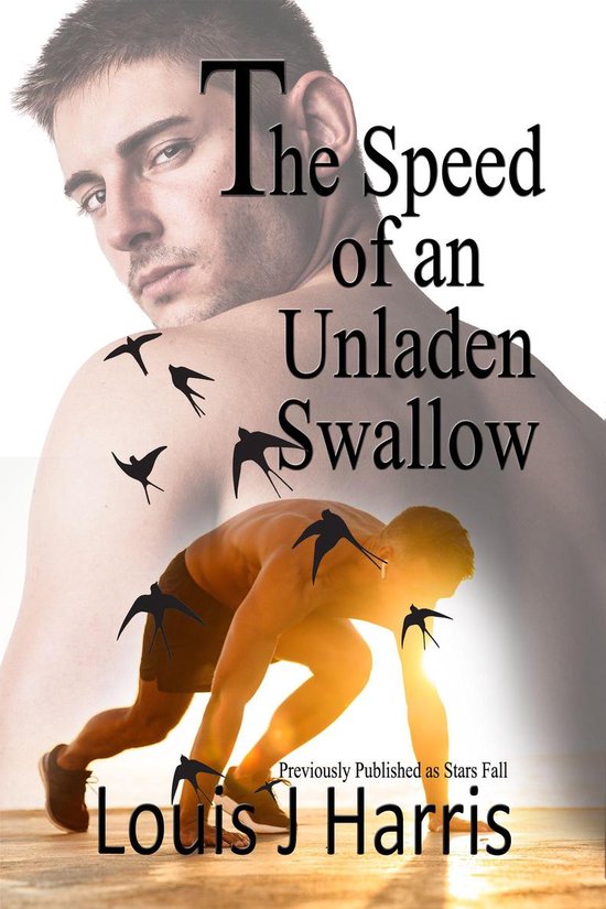 The Speed of an Unladen Swallow - cover