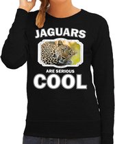 Dieren jaguars/ luipaarden sweater zwart dames - jaguars are serious cool trui - cadeau sweater luipaard/ jaguars/ luipaarden liefhebber M