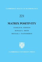 Cambridge Tracts in Mathematics 221 - Matrix Positivity