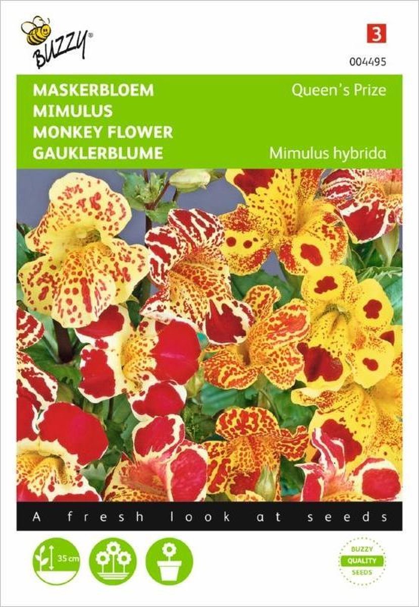 Maskerbloem Queens Price - Mimulus luteus tigrinus
