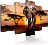 Artgeist Elephant Migration Canvas Schilderij - 100x50cm