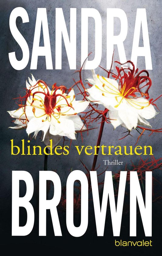 Blindes Vertrauen - cover