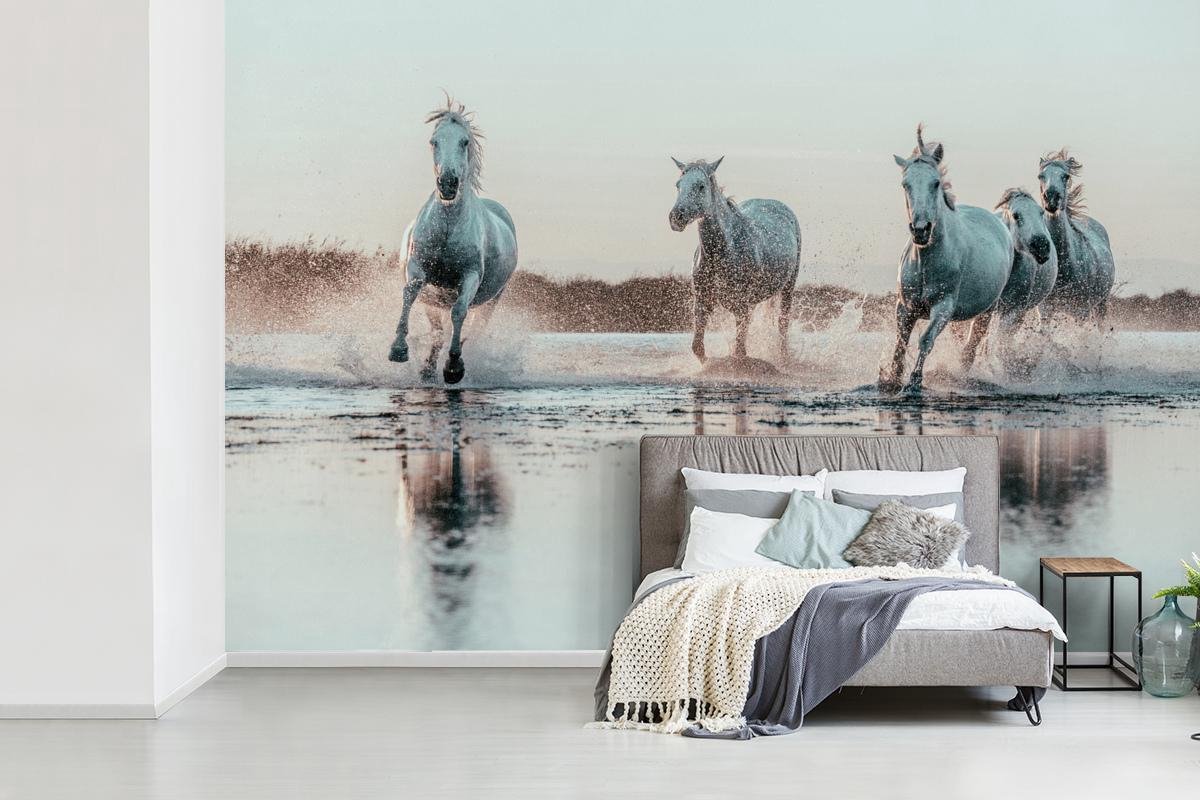 Behang - Fotobehang - Wilde witte paarden galopperen door het water in Camargue - Breedte 390 cm x h