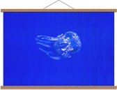 Schoolplaat – Kwal op Blauwe Achtergrond - 90x60cm Foto op Textielposter (Wanddecoratie op Schoolplaat)
