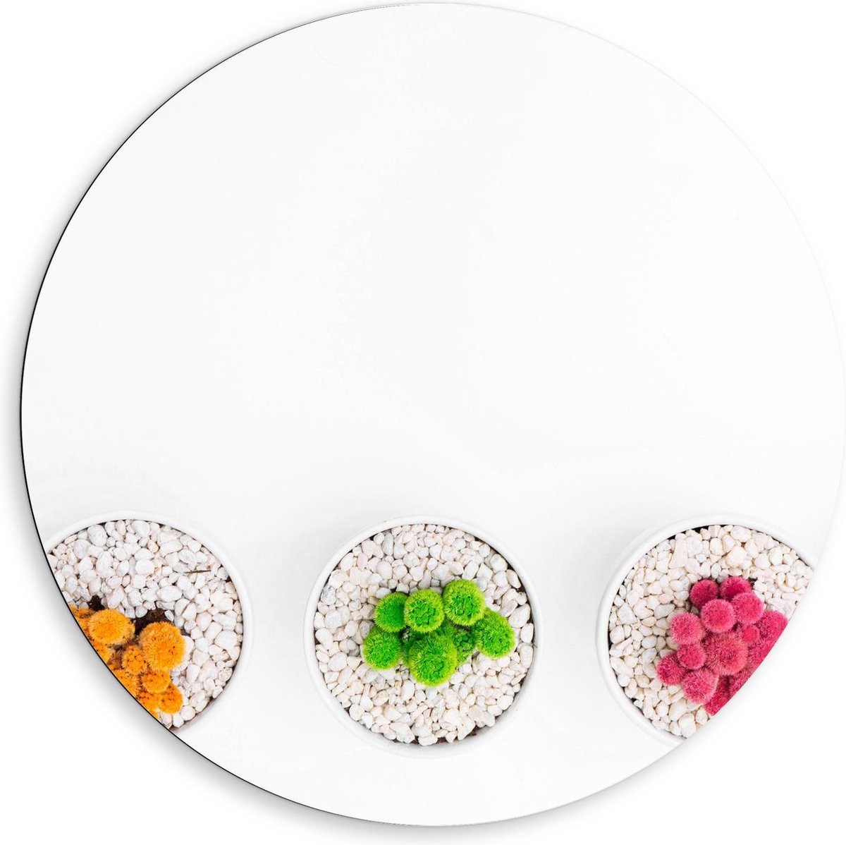 Dibond Wandcirkel - Gekleurde Cactuspotjes - 80x80cm Foto op Aluminium Wandcirkel (met oph