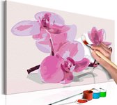 Doe-het-zelf op canvas schilderen - Orchideeën 60x40 ,  Europese kwaliteit, cadeau idee