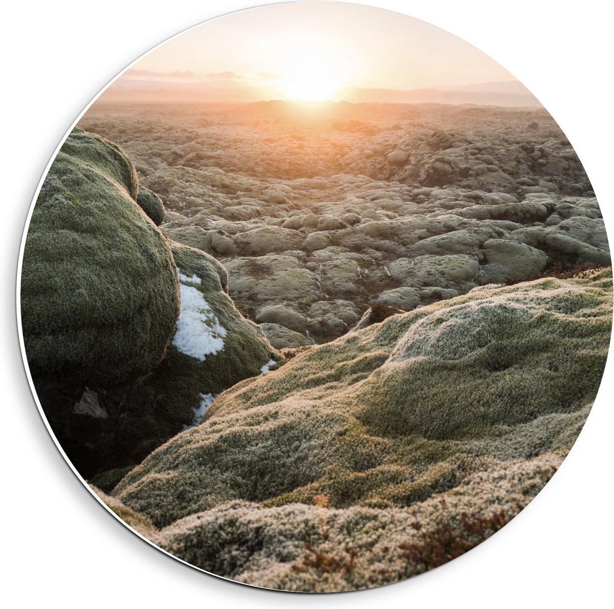 Forex Wandcirkel - Mossige Rotsen met Ondergaande Zon - 40x40cm Foto op Wandcirkel (met ophangsysteem)