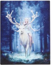Anne Stokes - Canvas afbeelding Fantasy Forest 25 x19 cm Multicolours