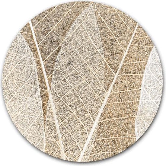 Wandcirkel Leaf Texture - WallCatcher | Acrylglas 40 cm | Muurcirkel blad textuur