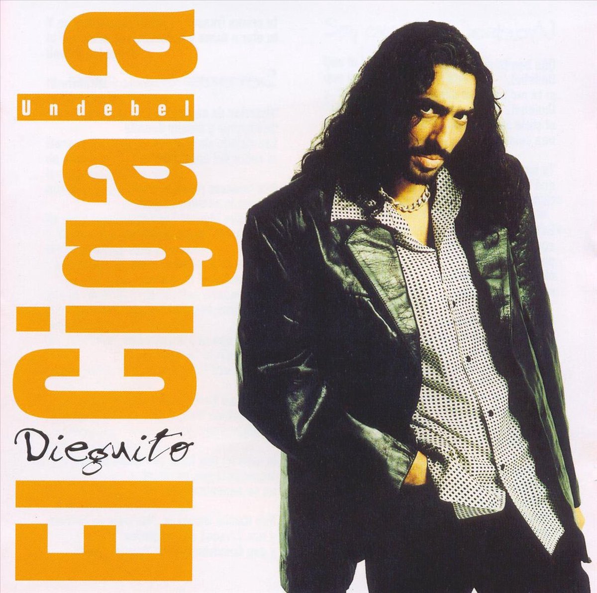 Undebel