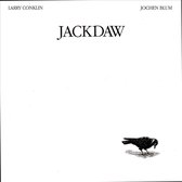 Jackdaw