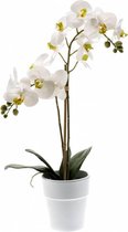 Kunst Phalaenopsis Orchidee Wit 65 Cm - Vlinderorchidee - Witte Kunstbloem