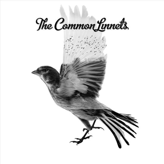 The Common Linnets (LP) - The Common Linnets