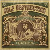 Self Destruction