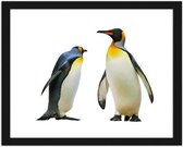 Foto in frame Pinguins, 3 maten, multi-gekleurd, Premium print